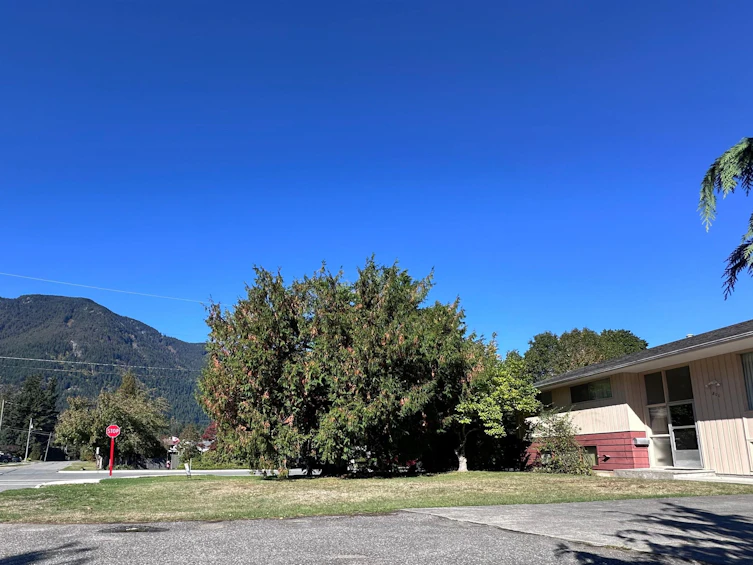 311 Allison Avenue, Hope, BC, V0X 1L0 - 40