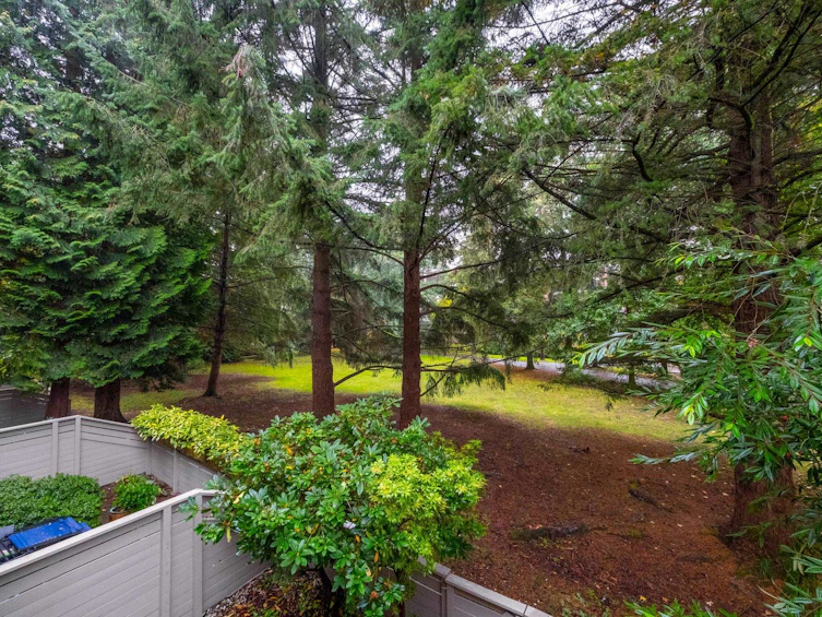 4083 Parkway Drive, Vancouver, BC, V6L 3C9 - 19