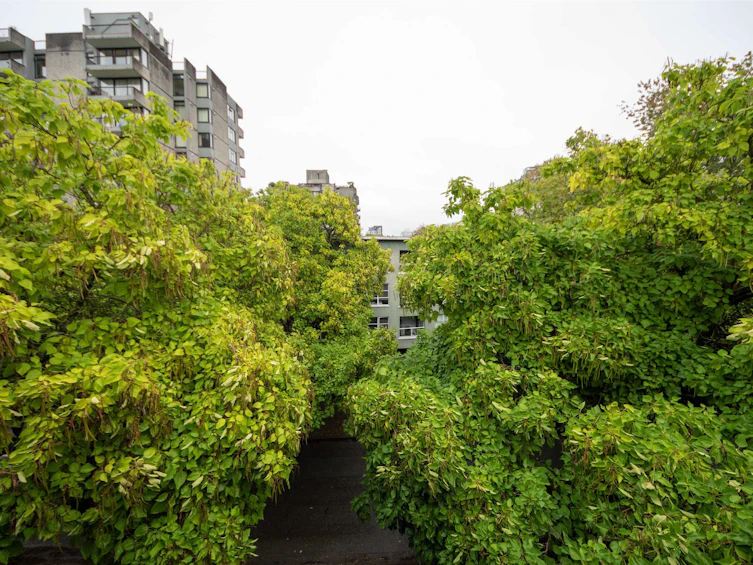 402-1718 Nelson Street, Vancouver, BC, V6G 1M8 - 20