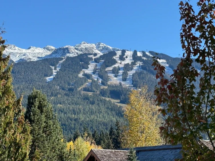 ABCD-4803 Casabella Crescent, Whistler, BC, V8E 0Z4 - 11
