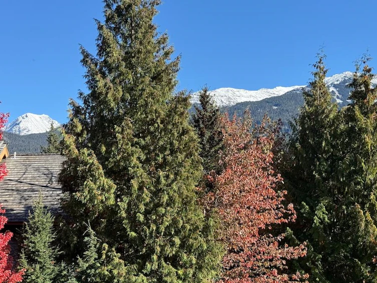 ABCD-4803 Casabella Crescent, Whistler, BC, V8E 0Z4 - 12