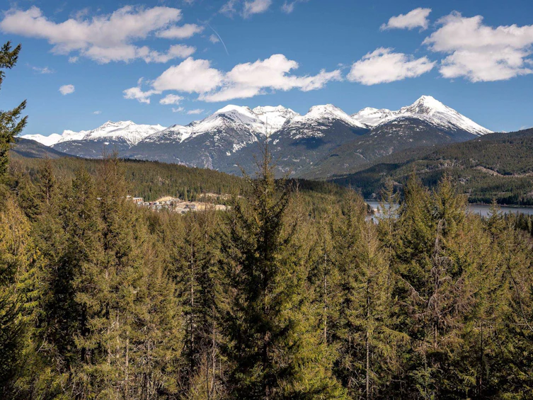 8365 Mountain View Drive, Whistler, BC, V8E 0G3 - 2