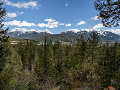 8365 Mountain View Drive - 3