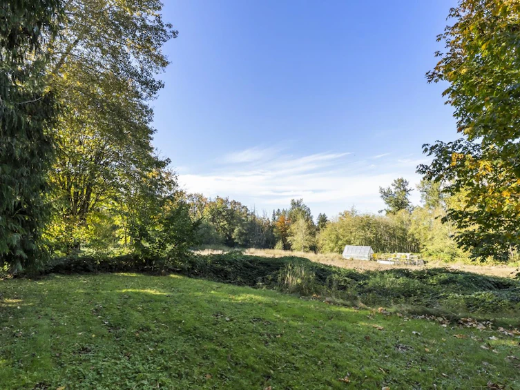 4615 232 Street, Langley, BC, V2Z 2S1 - 38