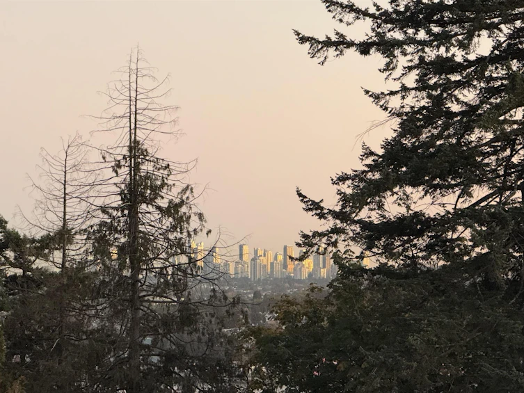 307-707 E 3rd Street, North Vancouver, BC, V7L 1G8 - 26