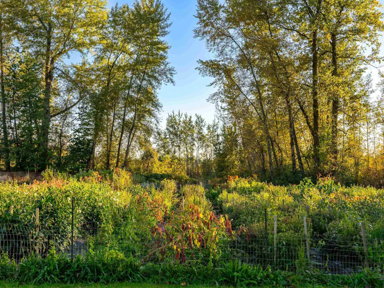 5441 256 Street, Langley, BC, V4W 1E7 - 37