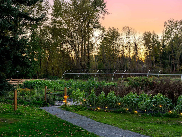 5441 256 Street, Langley, BC, V4W 1E7 - 24