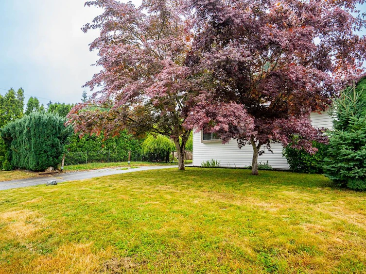 24805 118a Avenue, Maple Ridge, BC, V4R 1Z3 - 3