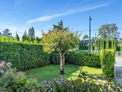 5062 Granville Street - 3
