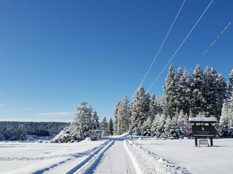 LOT-4435 Fircrest Road, Lac La Hache, BC, V0K 1T1 - 8