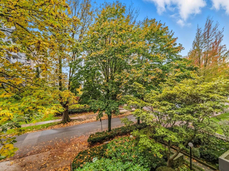 202-1165 Burnaby Street, Vancouver, BC, V6E 1P3 - 29