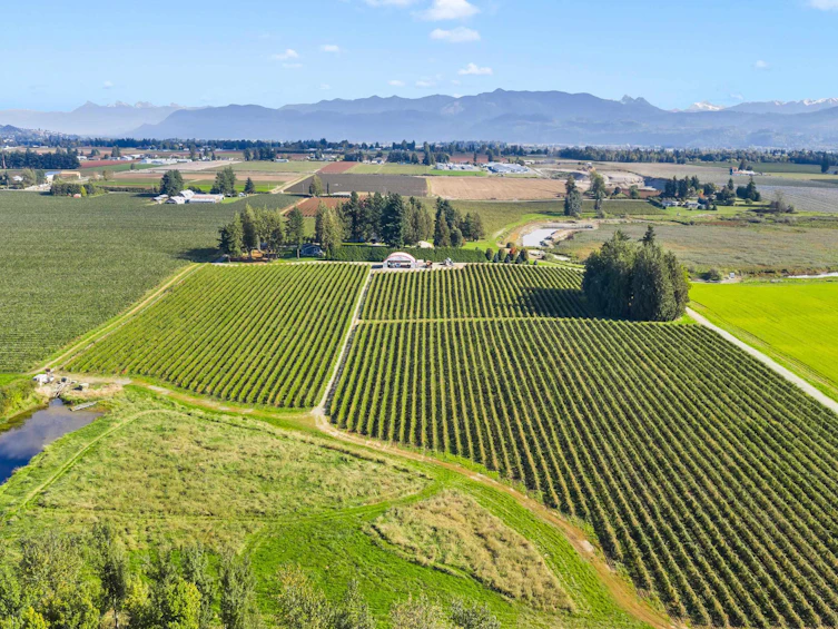 197 Clearbrook Road, Abbotsford, BC, V2T 5X1 - 9