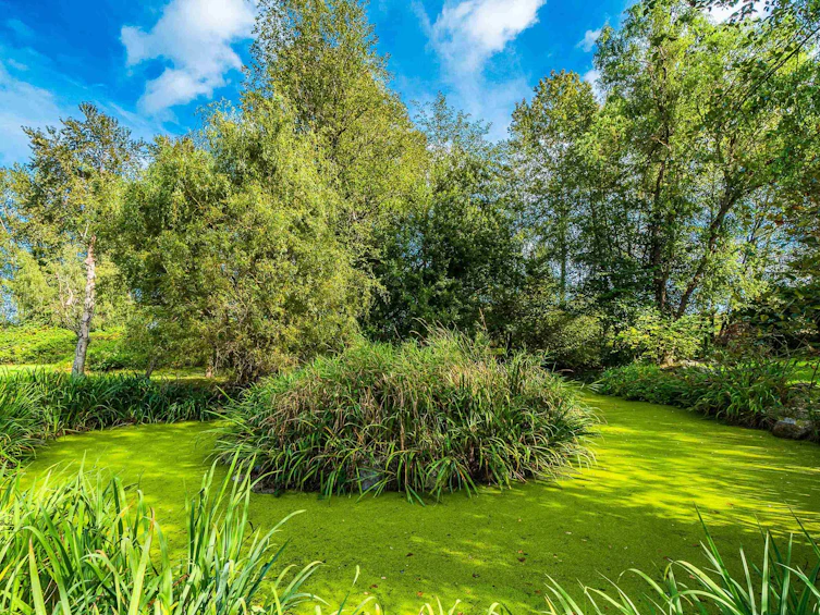 9260 Sidaway Road, Richmond, BC, V6W 1C2 - 20