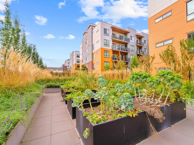 237-55 Klahanie Drive, Port Moody, BC, V3H 0M9 - 25