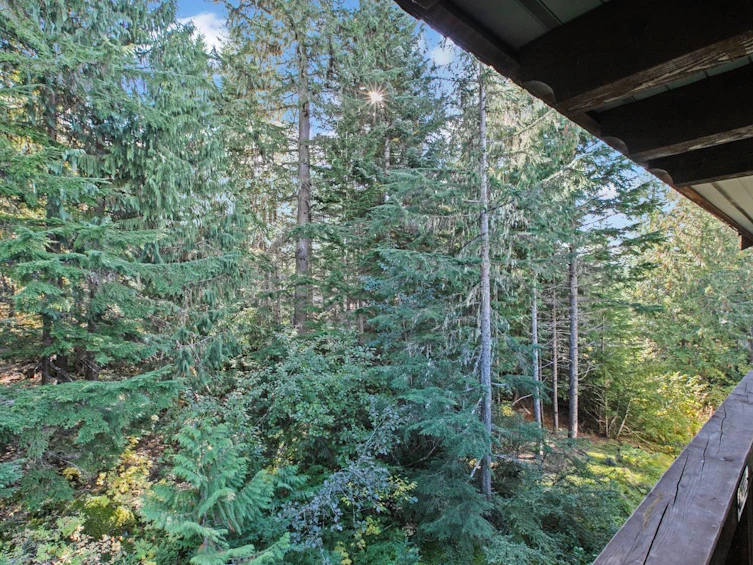 405 G4-4653 Blackcomb Way, Whistler, BC, V8E 0Y9 - 6