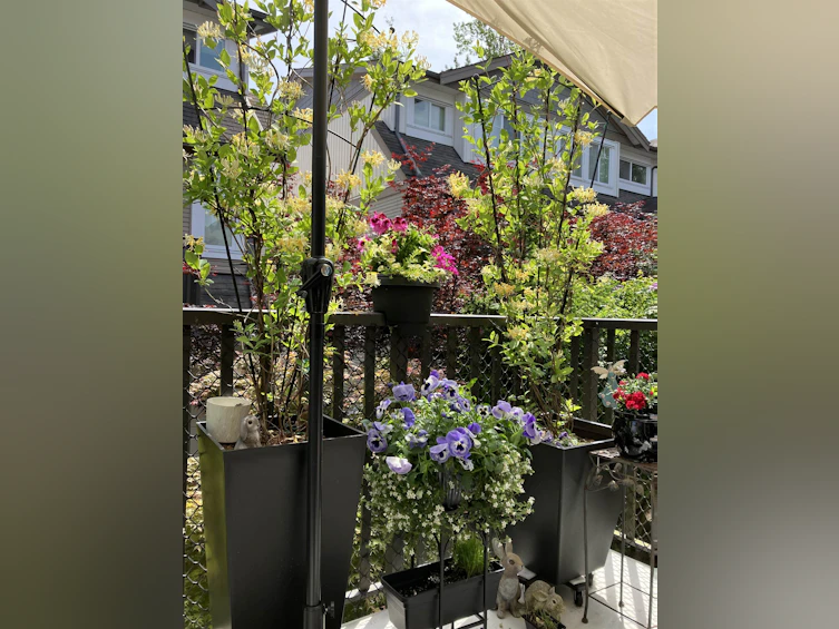 61-8250 209b Street, Langley, BC, V2Y 0J7 - 22