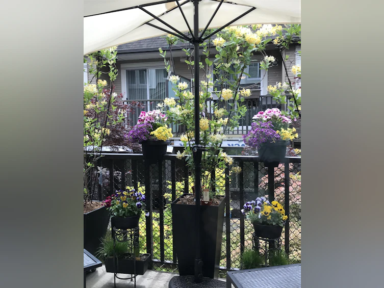 61-8250 209b Street, Langley, BC, V2Y 0J7 - 21