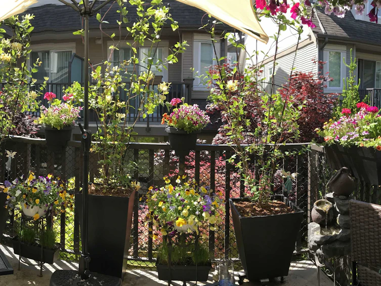 61-8250 209b Street, Langley, BC, V2Y 0J7 - 23