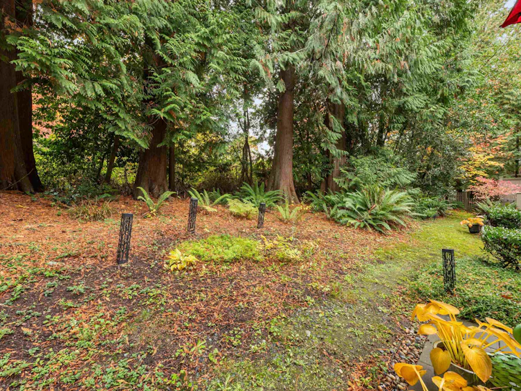 37-7500 Cumberland Street, Burnaby, BC, V3N 4Z9 - 31