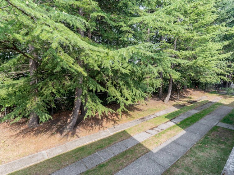 252-5421 10 Avenue, Delta, BC, V4M 3T9 - 22