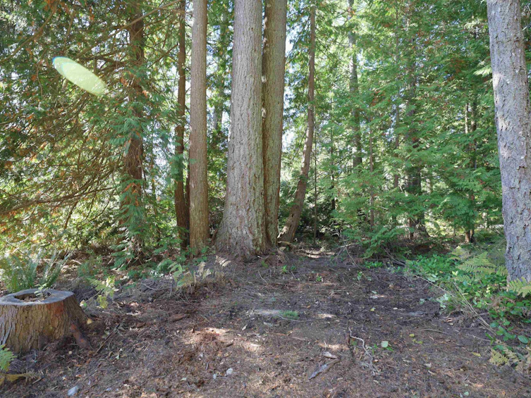 588 Veterans Road, Gibsons, BC, V0N 1V4 - 5