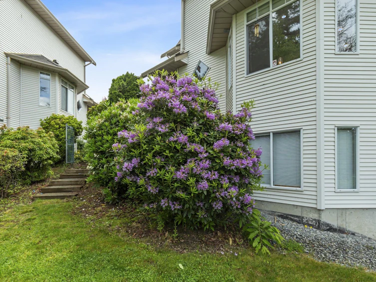 50-32361 Mcrae Avenue, Mission, BC, V2V 4X7 - 38