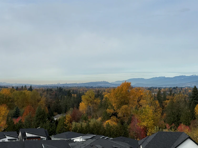 10556 Mcveety Street, Maple Ridge, BC, V2W 0K3 - 12