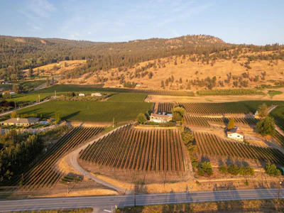1116 Naramata Road - 2