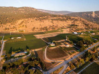 1116 Naramata Road - 3