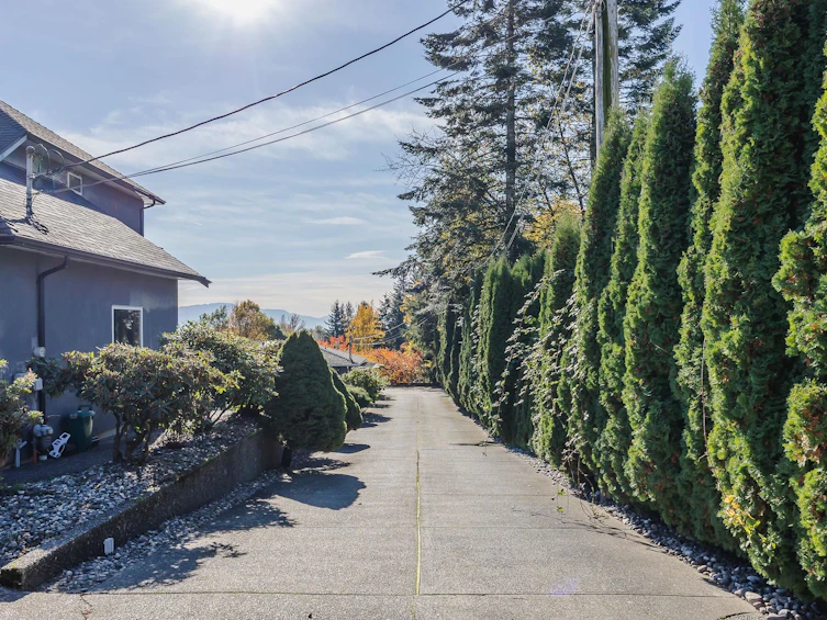 32826 Best Avenue, Mission, BC, V2V 2S8 - 2