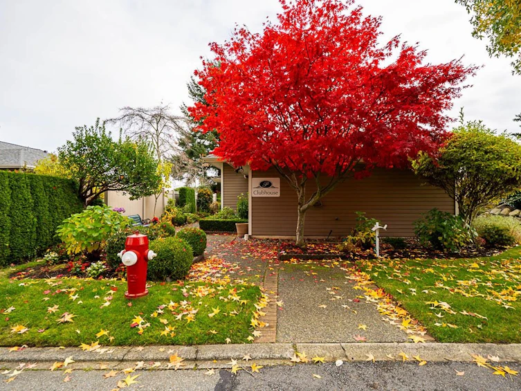 66-2500 152 Street, Surrey, BC, V4P 1M8 - 36
