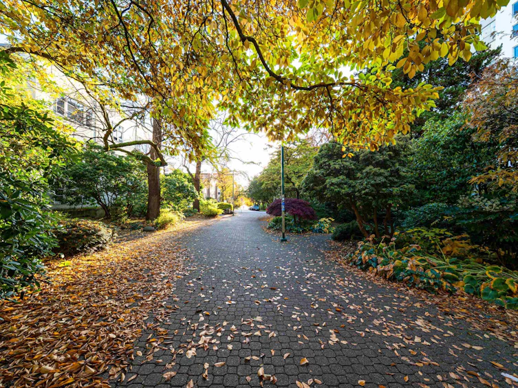 2004-1251 Cardero Street, Vancouver, BC, V6G 2H9 - 36
