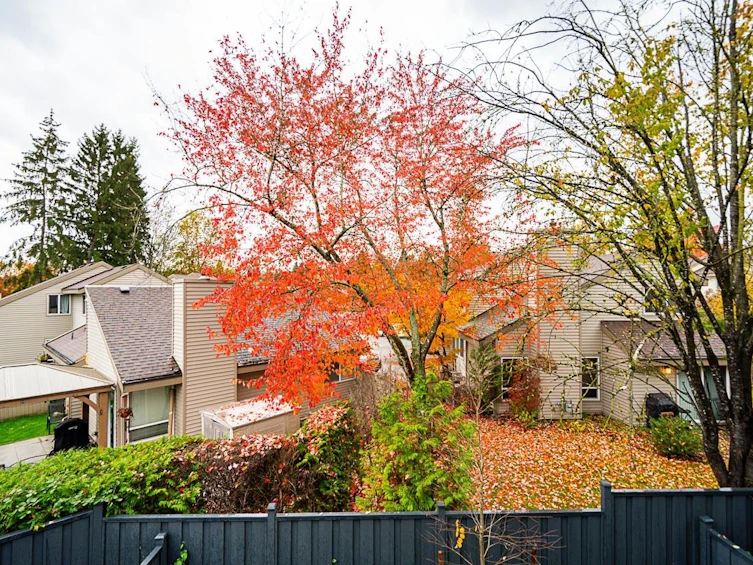 43-19330 Fairway Drive, Surrey, BC, V3S 0B7 - 14
