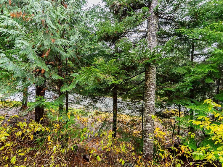 5-2240 Nordic Drive, Whistler, BC, V8E 0P3 - 34