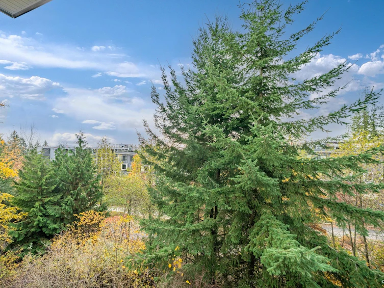 505-9339 University Crescent, Burnaby, BC, V5A 4Y1 - 2