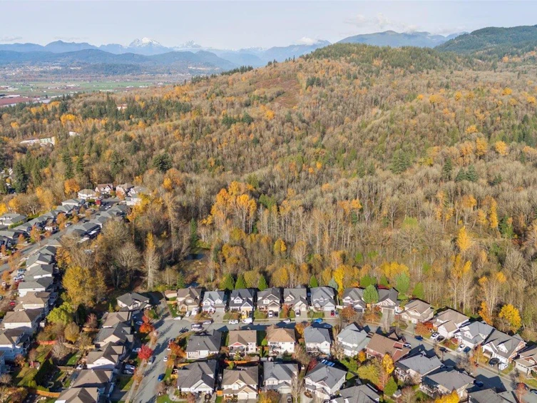 35522 Angus Crescent, Abbotsford, BC, V3G 0A2 - 38