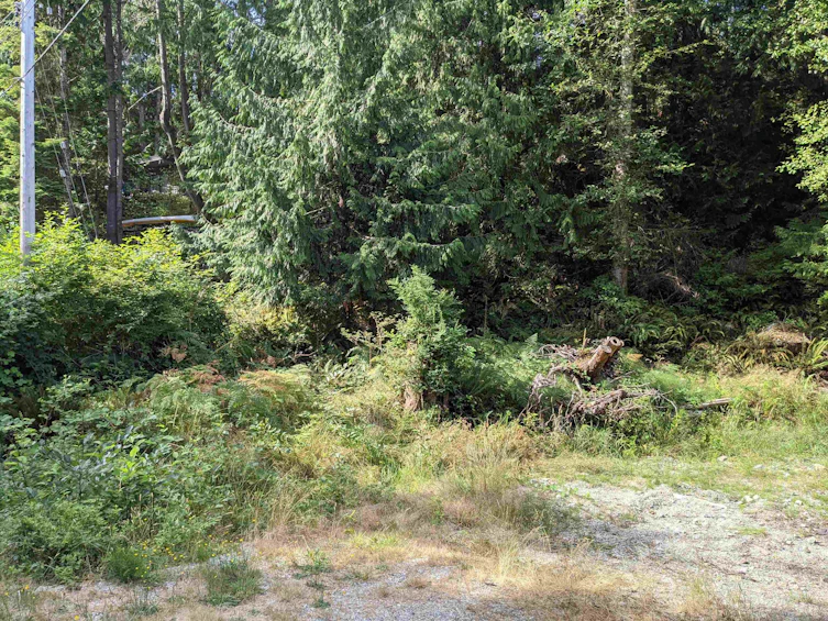 16570 Timberline Road, Pender Harbour Egmont, BC, V0N 2H4 - 3