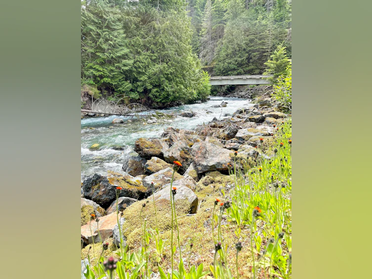 71365 Old Hope Princeton Highway, Hope, BC, V0X 1L5 - 39