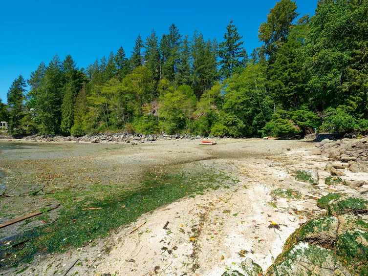 4855 Belcarra Bay Road, Port Moody, BC, V3H 4N4 - 20