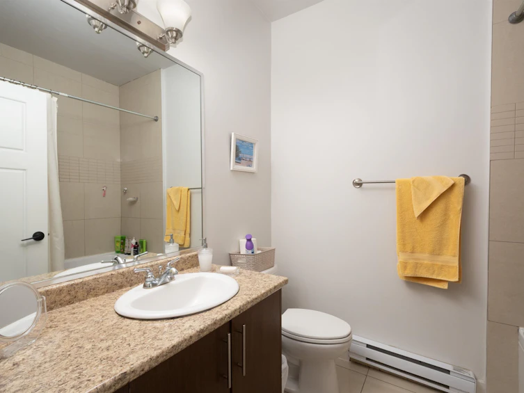 3443 Gislason Avenue, Coquitlam, BC, V3E 0C6 - 37