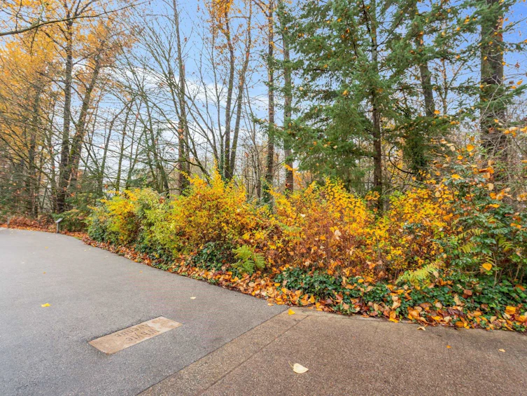 307-2335 Whyte Avenue, Port Coquitlam, BC, V3C 2A3 - 31