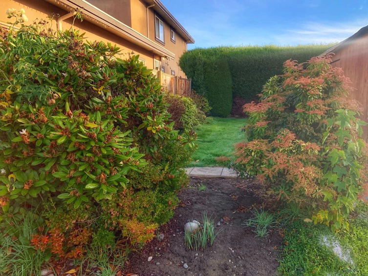 10880 Southridge Road, Richmond, BC, V7A 2X4 - 5