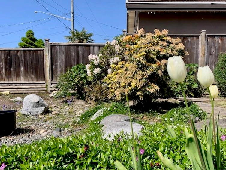 10880 Southridge Road, Richmond, BC, V7A 2X4 - 4