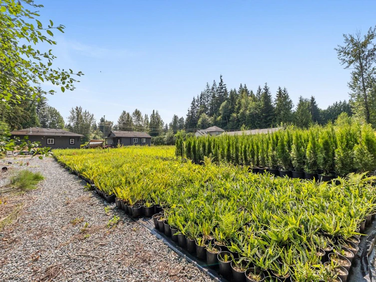 29819 Dewdney Trunk Road, Mission, BC, V4S 1B7 - 29