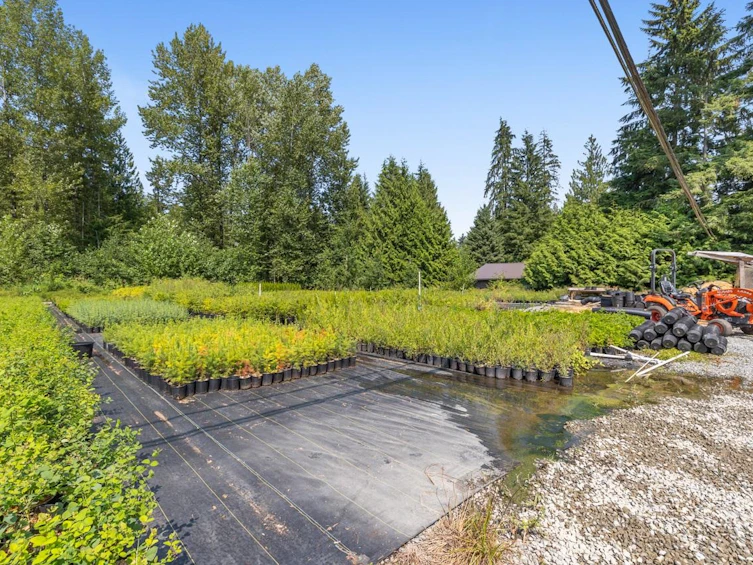29819 Dewdney Trunk Road, Mission, BC, V4S 1B7 - 27
