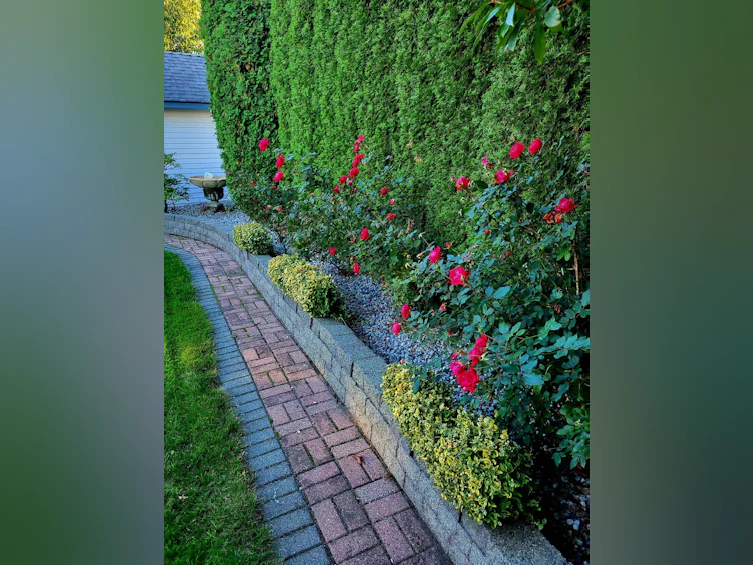6041 186 Street, Surrey, BC, V3S 7P4 - 34