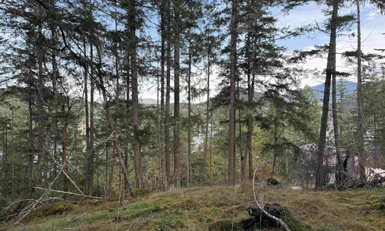 LOT B Francis Peninsula Road