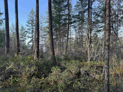 LOT B Francis Peninsula Road - 3