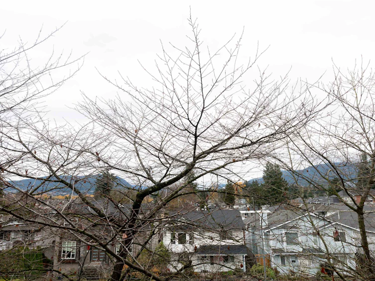 300-1966 Coquitlam Avenue, Port Coquitlam, BC, V3B 7P8 - 23