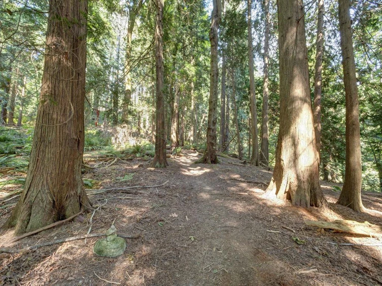 Lot 5 Gower Point Road, Gibsons, BC, V0N 1V5 - 10
